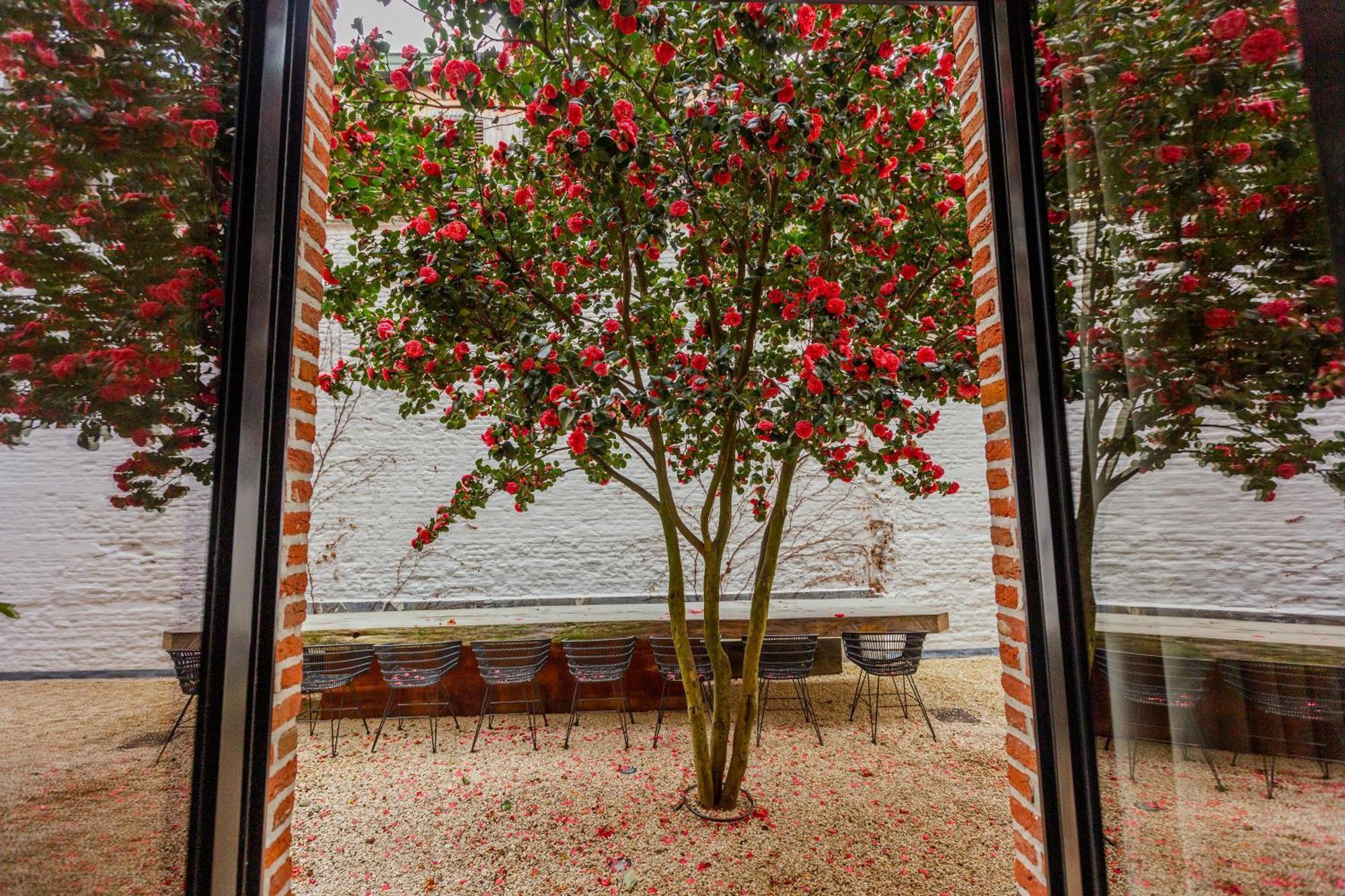 Apartamento Btfl Living Amberes Exterior foto